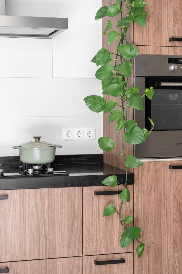 Industrieel - Hout fineer & composiet — foto 2